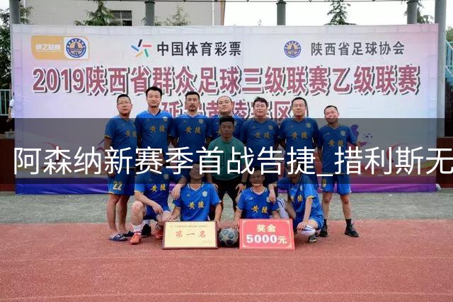 阿森纳新赛季首战告捷 措利斯无缝衔接展现战术价值