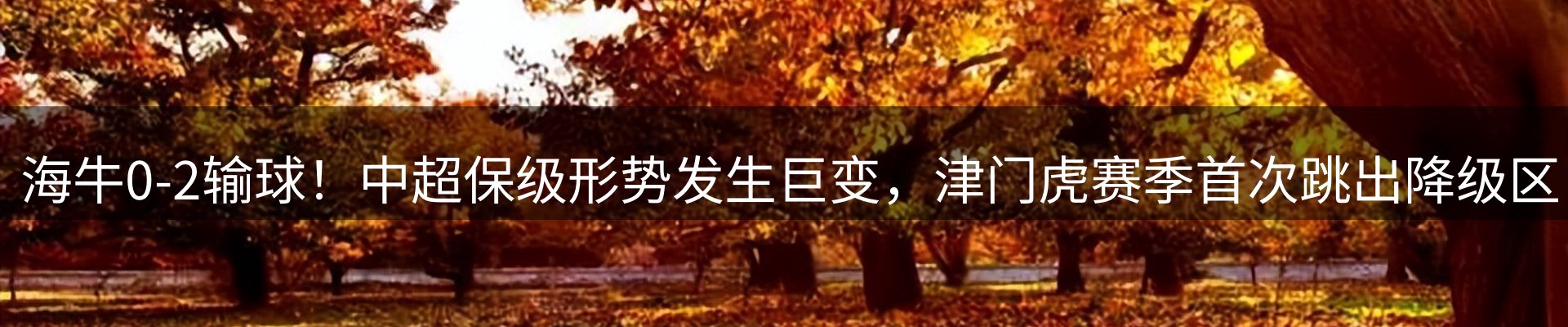 体育资讯