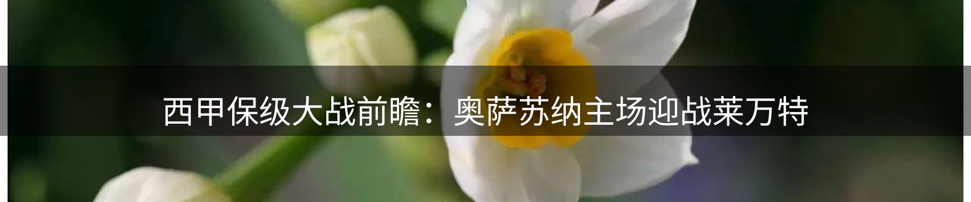 体育资讯